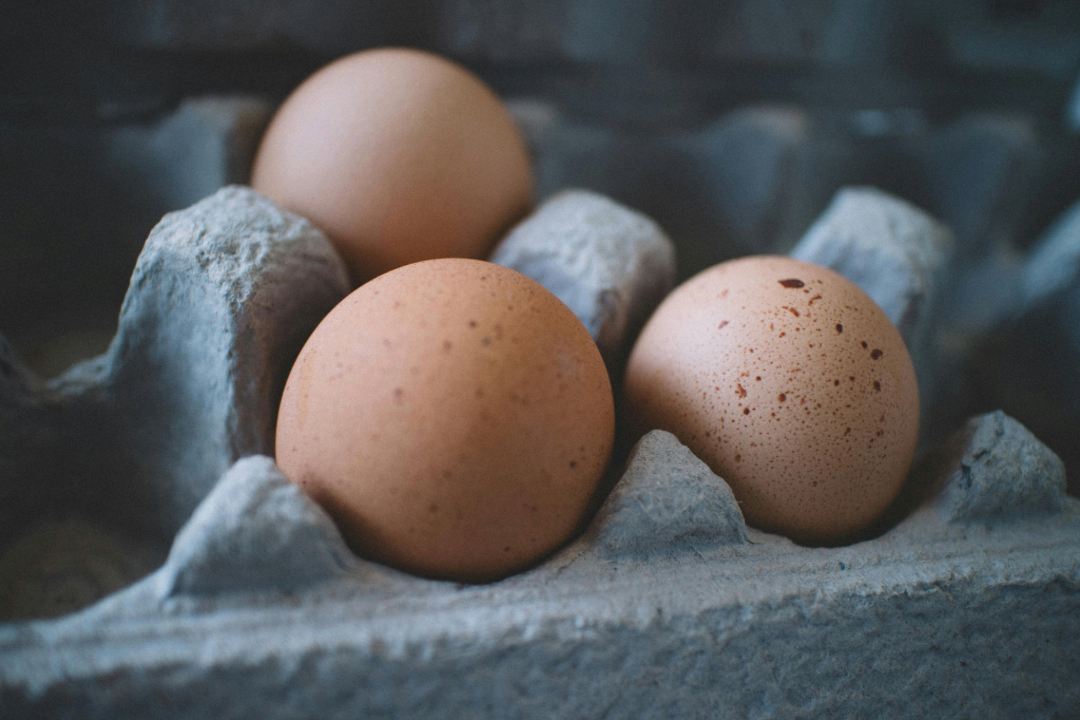 image de Protéines, quels aliments choisir ?