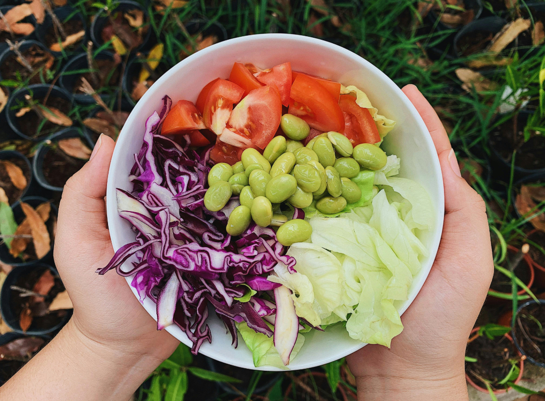 image de 10 aliments riches en protéines et faibles en calories